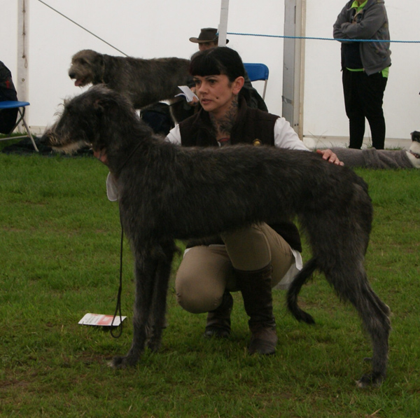 Brylach Ophelia of Sorimsway